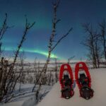 Abisko: Aurora Snowshoeing - FAQ