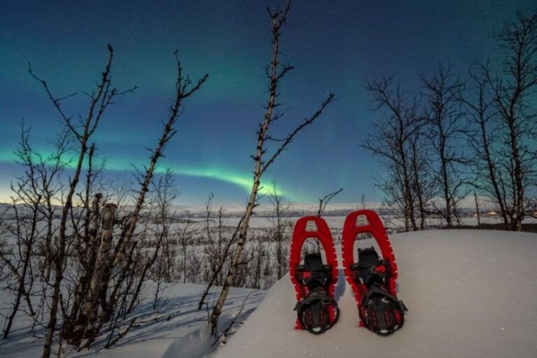 Abisko: Aurora Snowshoeing - FAQ