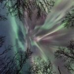 Abisko: Guided Autumn Aurora Chase with Hotel Transfers - The Sum Up