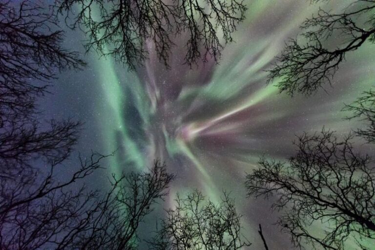 Abisko: Guided Autumn Aurora Chase with Hotel Transfers - The Sum Up