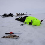 Abisko: Ice Fishing Experience - The Sum Up