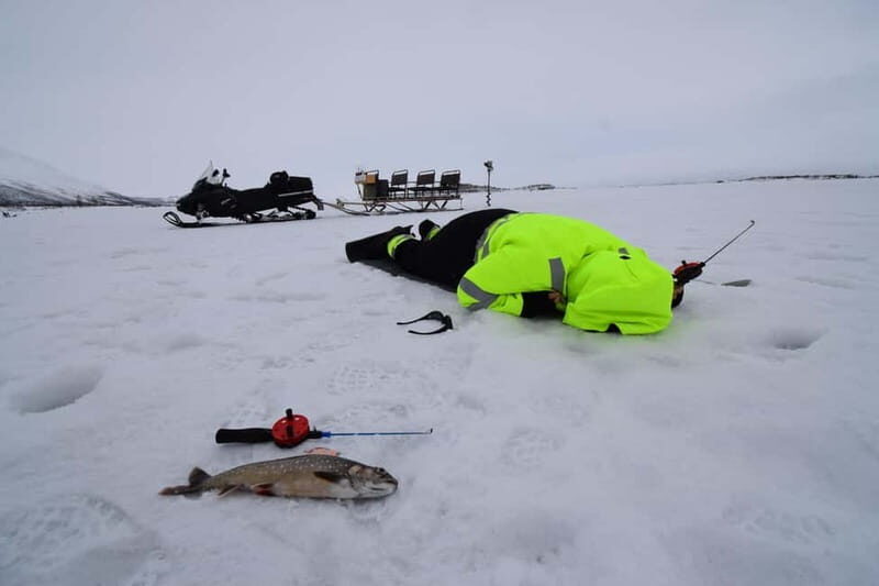 Abisko: Ice Fishing Experience - The Sum Up