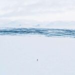 Abisko: Lake Torneträsk Arctic Ice Fishing Trip - Who Would Love This Tour?