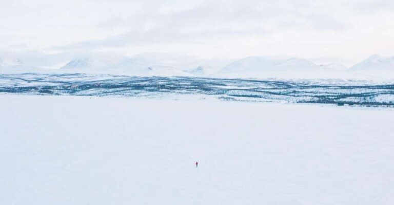 Abisko: Lake Torneträsk Arctic Ice Fishing Trip - Who Would Love This Tour?