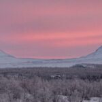 Abisko National Park: Scenic Morning Hike with Transfer - A Deep Dive into the Experience
