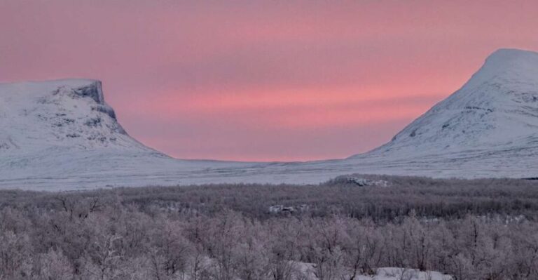 Abisko National Park: Scenic Morning Hike with Transfer - A Deep Dive into the Experience