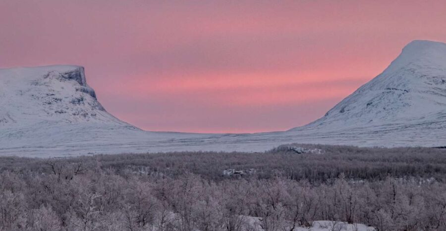 Abisko National Park: Scenic Morning Hike with Transfer - A Deep Dive into the Experience
