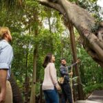 Aboriginal Heritage Walk - Royal Botanic Gardens Victoria, Melbourne Gardens - The Value of the Tour