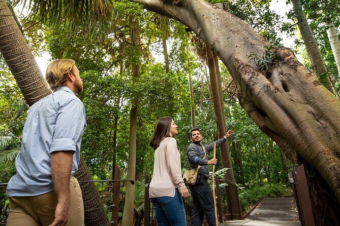 Aboriginal Heritage Walk - Royal Botanic Gardens Victoria, Melbourne Gardens - The Value of the Tour