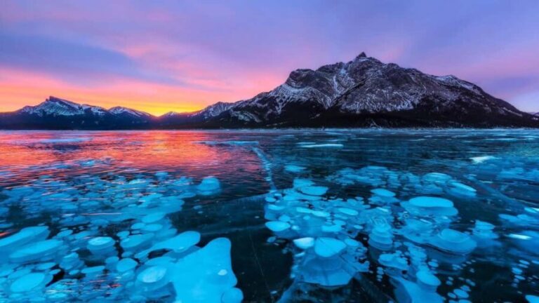 Abraham ice bubble lake/Sunwapta Falls Peyto Lake Bow Lake - What Travelers Say