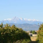 Abruzzo: Historic Cellar Wine Tour and Tasting - A Closer Look at the Tour Experience