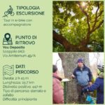 Abruzzo L'Aquila: e-bike tour in the shade of centuries-old oak trees - The Ride Begins: Paved Roads and Dirt Tracks