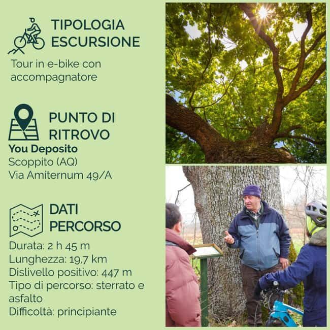 Abruzzo L'Aquila: e-bike tour in the shade of centuries-old oak trees - The Ride Begins: Paved Roads and Dirt Tracks