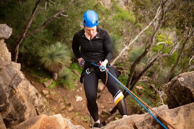 Abseiling Adventure in Adelaide - Why This Tour Offers Great Value