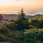 Acadia Cadillac Mountain Sunrise Half Day Private Tour & Hike - The Price and Value