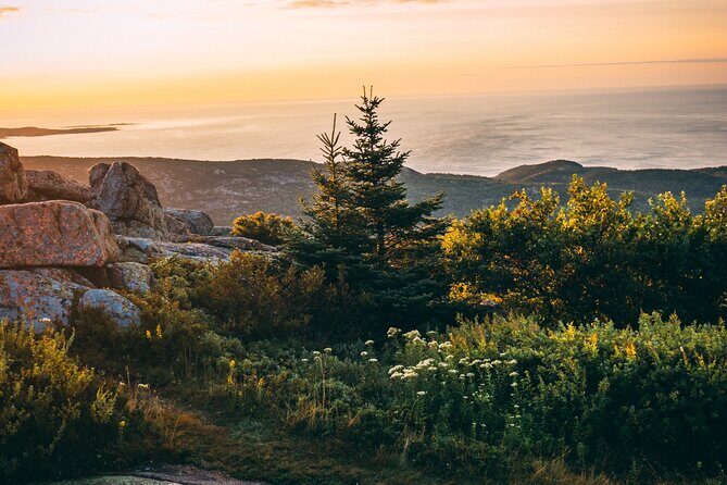 Acadia Cadillac Mountain Sunrise Half Day Private Tour & Hike - The Price and Value
