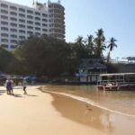 -Acapulco: Beach Break Experience with Snorkeling and Lunch - The Itinerary: From Beach to Underwater Wonder