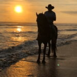 Acapulco: Bonfil Beach Horseback Riding Experience - What to Expect