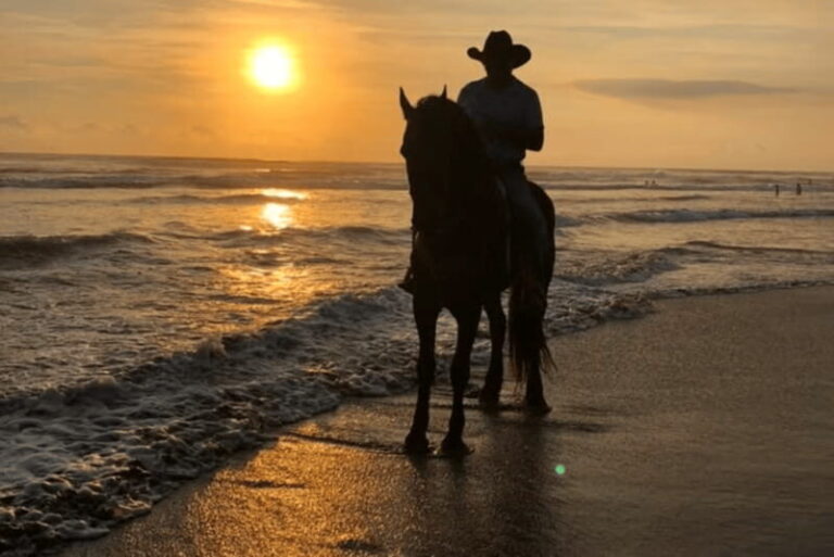 Acapulco: Bonfil Beach Horseback Riding Experience - What to Expect