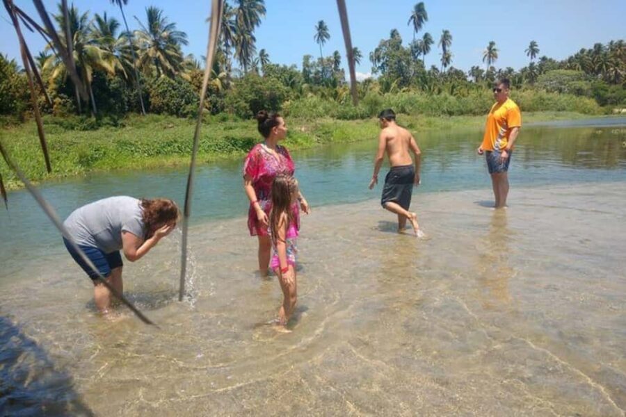 -Acapulco: Coyuca Lagoon Boat Ride &Baby Turtle Release Tour - Who Should Consider This Tour?