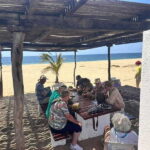 Acapulco: Coyuca Lagoon Tour - The Sum Up