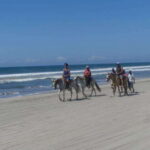 -Acapulco: Horseback Ride Exp. Crocodile Farm, and City Tour - Who Should Consider This Tour?
