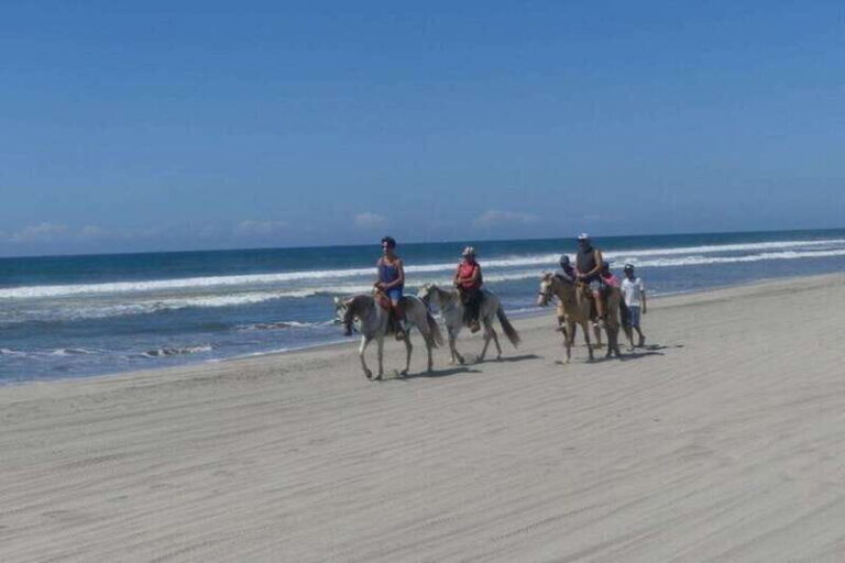 -Acapulco: Horseback Ride Exp. Crocodile Farm, and City Tour - Who Should Consider This Tour?