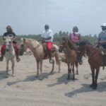 Acapulco: Horseback Riding, Turtle Camp, and Crocodile Tour - Practical Details and What You Should Know