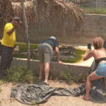 Acapulco: Lagoon Tour - Who Should Consider This Tour?