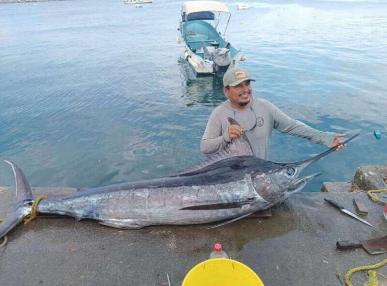 Acapulco: Private Fishing Experience - Who Will Love This Trip?