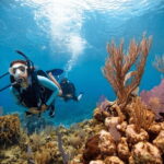 Acapulco: Scuba Diving in Roqueta Island - The Highlights of Roqueta Islands Underwater World