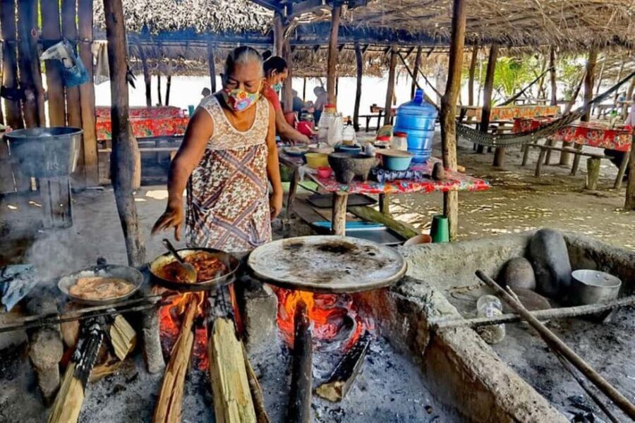 -Acapulco:Turtle Release Crocodile Farm & Horseback Ride Exp - Why This Tour Stands Out
