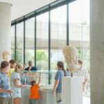 Acropolis Museum: Family Tour &Treasure Hunt w/Ticket Option - The Itinerary in Detail