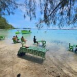 Activity/Excursion Lagoon Tour to Moorea by Canoe 6 hours - Final Thoughts
