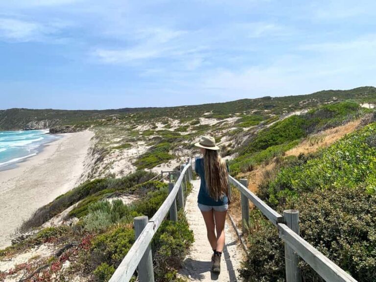 Adelaide: 3-Day Kangaroo Island Adventure Tour with Camping - The Experience in Detail: Why It Matters