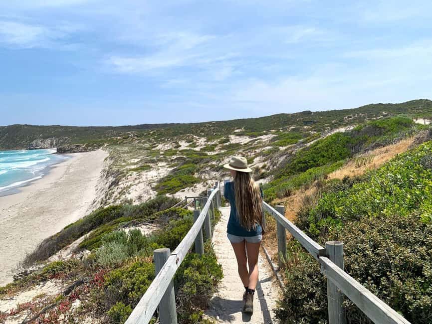 Adelaide: 3-Day Kangaroo Island Adventure Tour with Camping - The Experience in Detail: Why It Matters