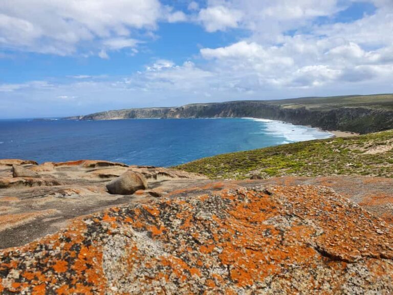 Adelaide: All-Inclusive Boutique 2-Day Kangaroo Island Tour - Why This Tour Offers Great Value