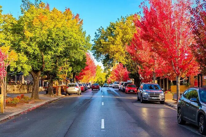 Adelaide City and Hahndorf Full Day Tour - FAQs