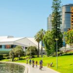 Adelaide: City to Sea, Bike and Kayak Safari - Learning and Wildlife Observation