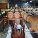 Adelaide Cruise Ship: Koalas & Penfolds & Heritage Day Tour - What Makes This Tour Special?