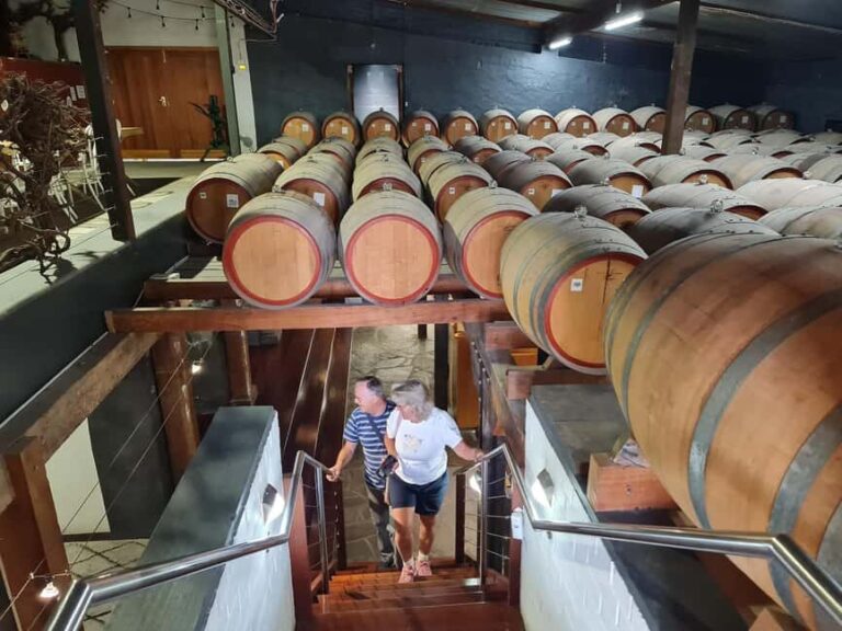 Adelaide Cruise Ship: Koalas & Penfolds & Heritage Day Tour - What Makes This Tour Special?