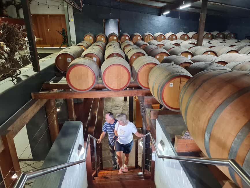 Adelaide Cruise Ship: Koalas & Penfolds & Heritage Day Tour - What Makes This Tour Special?