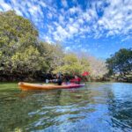 Adelaide: Dolphin Sanctuary 1 or 2-Person Kayak Rental - An In-Depth Look at the Dolphin Sanctuary Kayaking Experience