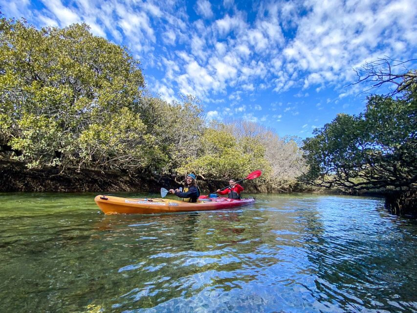 Adelaide: Dolphin Sanctuary 1 or 2-Person Kayak Rental - An In-Depth Look at the Dolphin Sanctuary Kayaking Experience