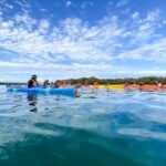 Adelaide Dolphin Sanctuary and Ships Graveyard Kayak Tour - Why This Tour Represents Great Value