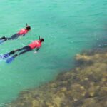 Adelaide: Fleurieu Snorkel & Beer Safari - Snorkeling at Port Noarlunga Reef