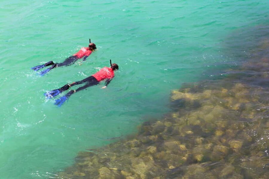Adelaide: Fleurieu Snorkel & Beer Safari - Snorkeling at Port Noarlunga Reef