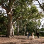 Adelaide: Guided Warriparinga Cultural and Historical Tour - Who Will Love This Tour?