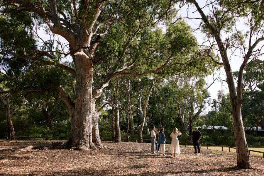 Adelaide: Guided Warriparinga Cultural and Historical Tour - Who Will Love This Tour?