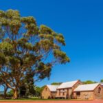 Adelaide: Half-day McLaren Vale & Glenelg Wine Tasting Tour - Overview of the Experience: What You Can Expect